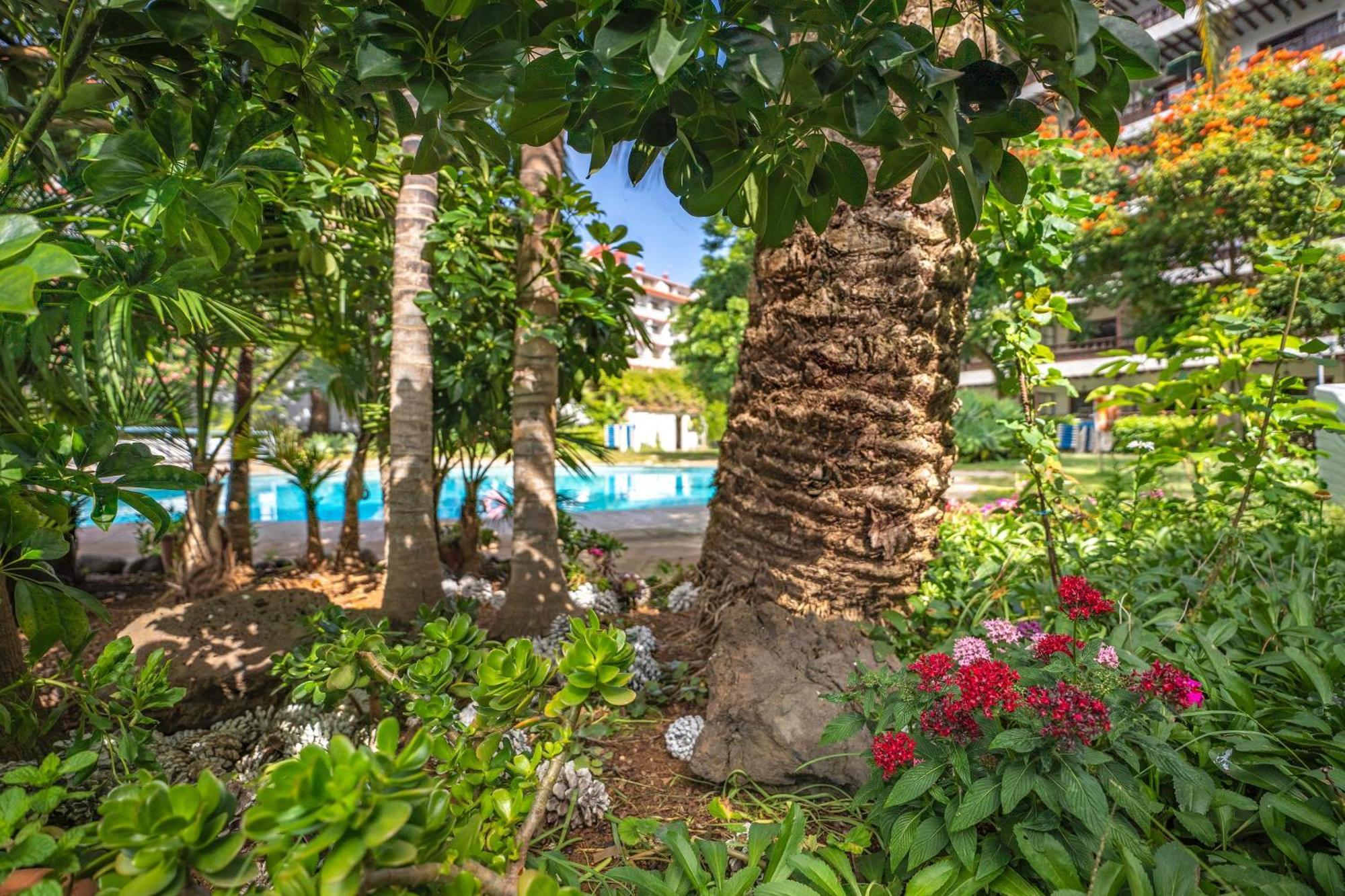 Coral Teide Mar Aparthotel Puerto de la Cruz  Ngoại thất bức ảnh